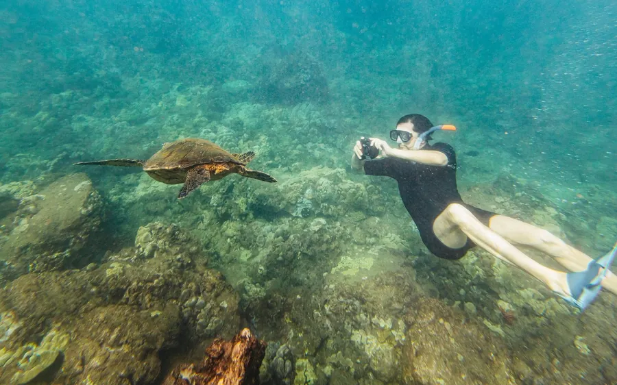 Un snorkelista nadando justo encima de una tortuga verde sobre un arrecife poco profundo
